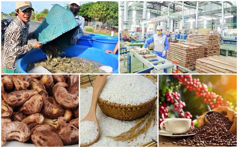 Xuất khẩu phục hồi mạnh mẽ trong nửa đầu năm 2024